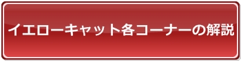 コーナー解説